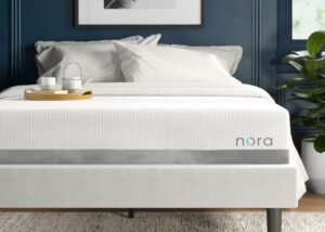 nora mattress reviews